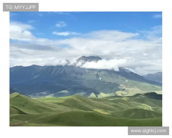 NBA比赛直播信号解析与应用技术研究探索 - 副本 - 副本 (2)